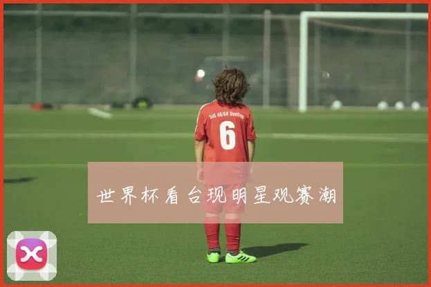 世界杯看台现明星观赛潮