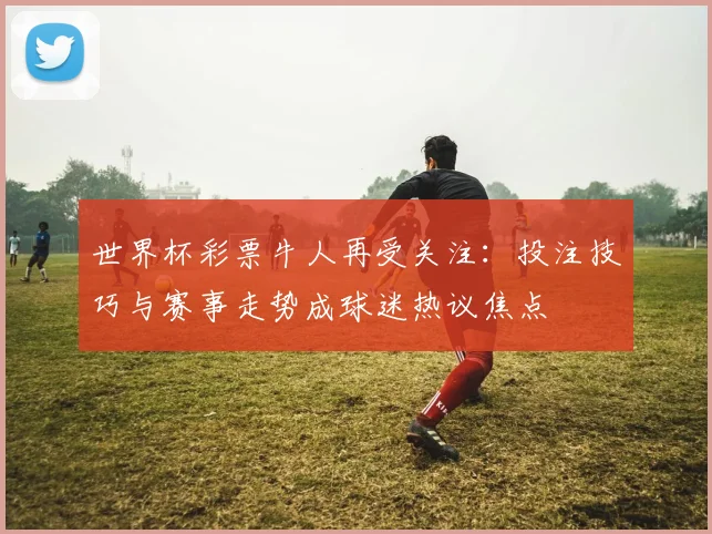 世界杯彩票牛人再受关注:投注技巧与赛事走势成球迷热议焦点