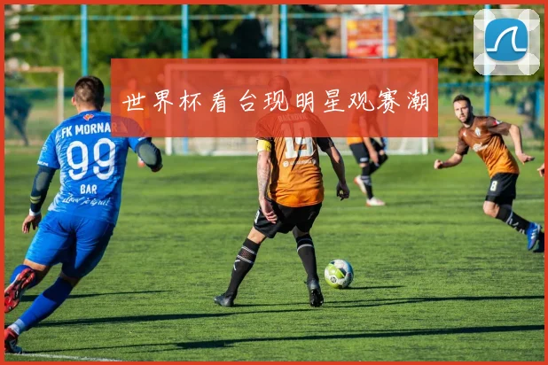 世界杯看台现明星观赛潮