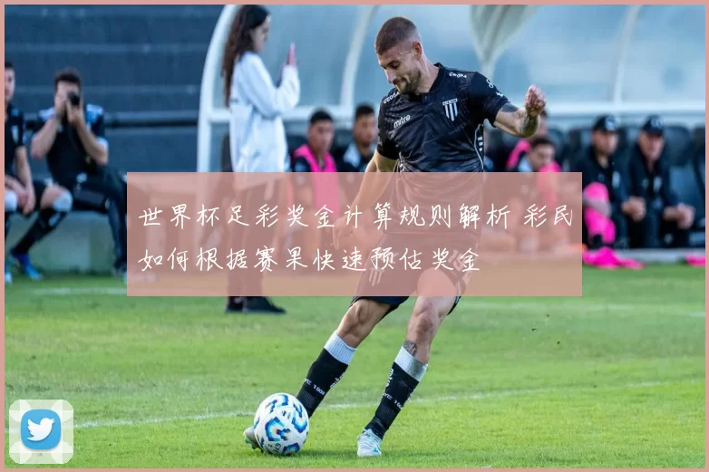 世界杯足彩奖金计算规则解析 彩民如何根据赛果快速预估奖金