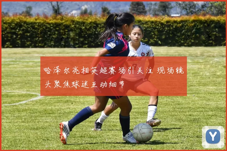 哈泽尔亮相英超赛场引关注 现场镜头聚焦球迷互动细节