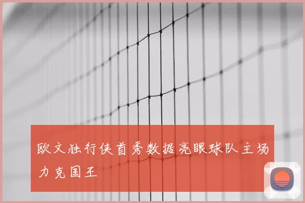 欧文独行侠首秀数据亮眼球队主场力克国王